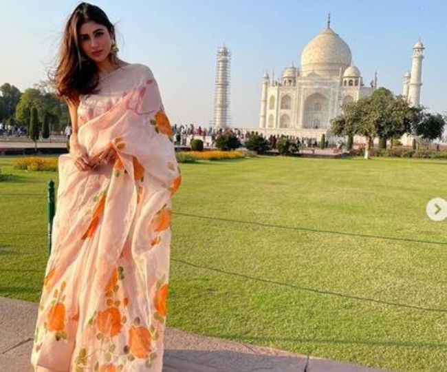 Mouni Roy ने ताजमहल के सामने दिया पोज, फैंस बोले दो खूबसूरत चीजें एक ही फ्रेम में